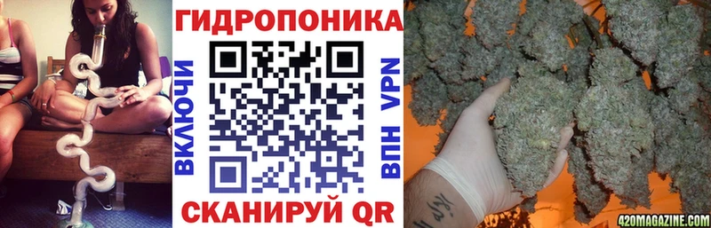 Где купить Власиха OMG ссылки  МЕФ  МАРИХУАНА  Галлюциногенные грибы  APVP  АМФ 