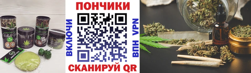 Cannafood конопля  как найти   Власиха 