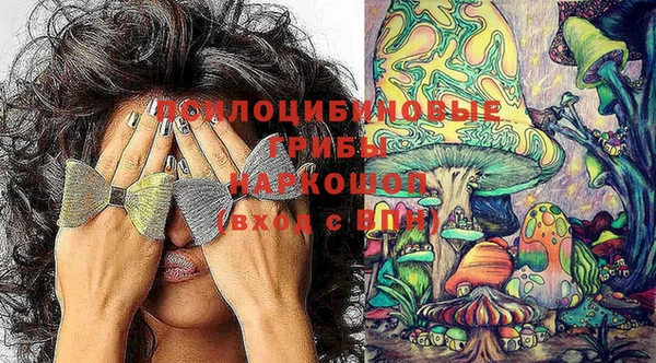 прущая мука Бородино