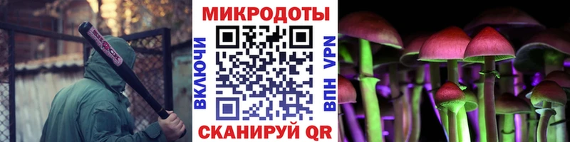 Псилоцибиновые грибы Psilocybine cubensis  Власиха 