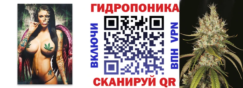 OMG сайт  Власиха  Бошки марихуана индика 